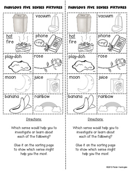 Fabulous Five Senses Picture Sort {Science for Kindergarten and First