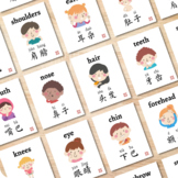 Face Body Parts Chinese Flashcards Bilingual Printable Cards Word Wall Posters