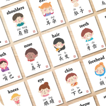 Preview of Face Body Parts Chinese Flashcards Bilingual Printable Cards Word Wall Posters