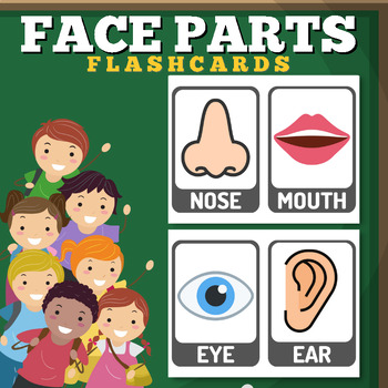 Preview of Face Parts Flashcards