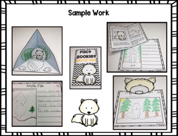 Fact Booklet - Arctic Fox by TheBeezyTeacher | Teachers Pay Teachers