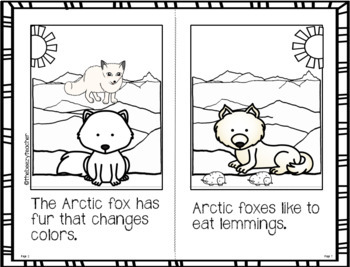 Fact Booklet - Arctic Fox by TheBeezyTeacher | Teachers Pay Teachers