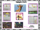 Giraffe Fact Booklet with Digital Activities by TheBeezyTeacher | TpT