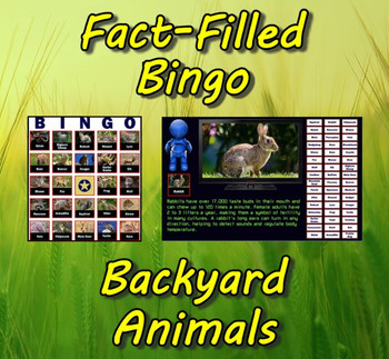 Preview of Fact-Filled Bingo - Backyard Animals