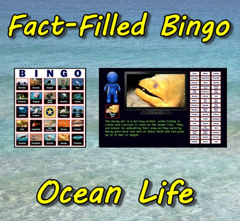 Preview of Fact-Filled Bingo - Ocean Life