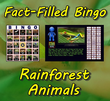 Preview of Fact-Filled Bingo - Rainforest Animals