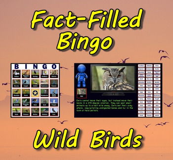 Preview of Fact-Filled Bingo - Wild Birds