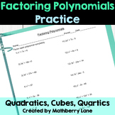 Factoring Polynomials Practice Review Worksheet Test Prep