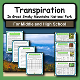 Factors that Affect Transpiration in Great Smoky Mountain 