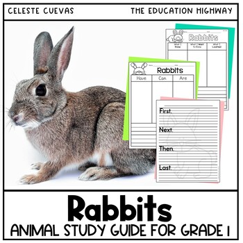 Preview of Rabbits Animal Study Pack