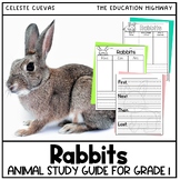 Rabbits Animal Study Pack