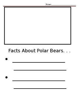 Preview of Facts about Polar Bears
