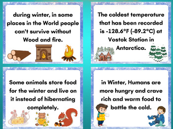 Preview of Facts and Flash Cards Bundle