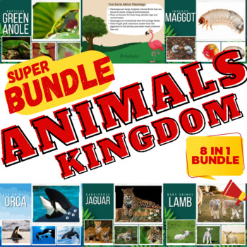 Preview of Facts and Real Life Photos For 8 Types of Animal Kingdom - 8 IN 1 BUNDLE