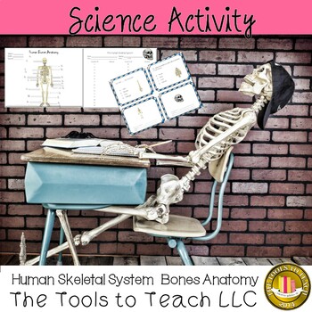 Preview of Halloween Human Skeletal System Bones Anatomy Task Cards No Prep