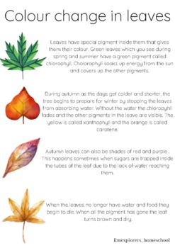 Factsheet on why leaves change colour by Ilmexplorers homeschool