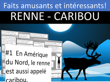 Preview of Faits intéressants et amusants - LES RENNES ou CARIBOUS