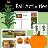 Fall Activities Matching, Counting, Letter Sounds, Go Togethers