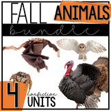 Fall Animals Bundle