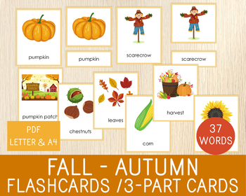 Preview of Fall - Autumn Flashcards, 3-Part Cards, Fall Vocabulary Picture Cards, Centers