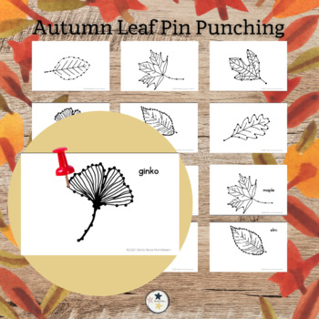 Preview of Fall Autumn Montessori | Leaf Punching, Leaf Pin Punching, Leaf Coloring