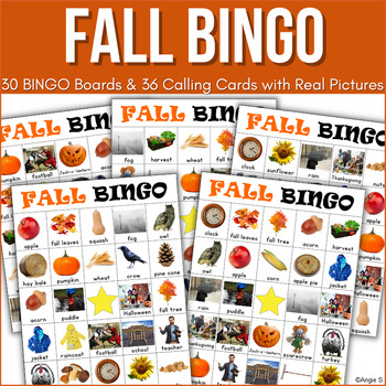 Fall Bingo Game with Real Pictures for Special Education Autism ESL Autumn