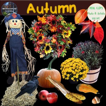 Preview of Fall Clip Art Autumn Photo & Artistic Digital Stickers