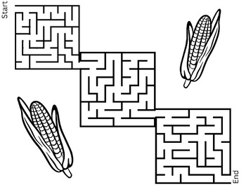 Preview of Fall "Corn" Maze