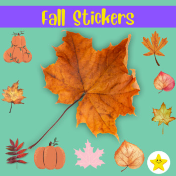 Preview of Fall Digital Stickers For Distance Learning Clip Art and Autumn Graphics