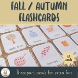 Fall Flashcards - Fall or Autumn Vocabulary Building Match