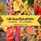 Fall Foliage Digital Paper | Nature Photographs