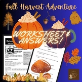 Fall Harvest Adventure: Worksheet, Answers, Activity & FUN
