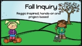 Fall Inquiry for Kindergarten