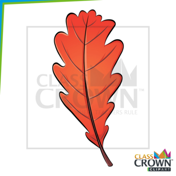 red leaf clip art
