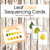 Fall Leaf Color Sequencing Cards