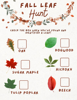 Preview of Fall Leaf Hunt - Early Childhood and First Grade - Nature Based Education