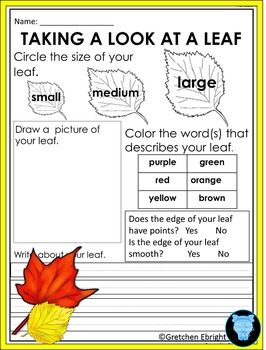 Preview of Fall Leaf Observation Sheet: Science Center Activity
