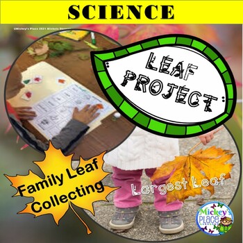 Preview of Fall Leaf Project and Activities: Primary Grades