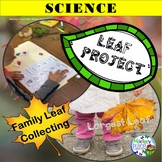 Fall Leaf Project and Activities: Primary Grades
