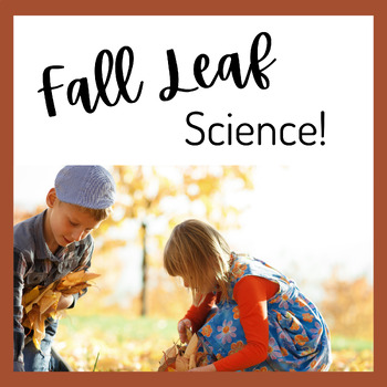 Preview of Fall Leaf Science