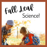 Fall Leaf Science
