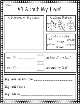 Preview of Fall Leaves Activites for Math and Science / STEM