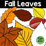 Fall Leaves Clipart with Colorful and Black & White Versions