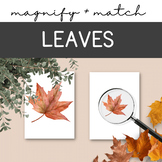 Fall Leaves Magnifying Match Activity, Montessori Autumn A
