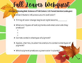 Preview of Fall Leaves WebQuest