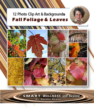 Preview of Real Photos Clip Art and Backgrounds - Fall Leaves and Colorful Foliage