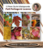 Real Photos Clip Art and Backgrounds - Fall Leaves and Col