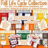 Fall Life Cycle Bundle: 8 Different Plants and Animals