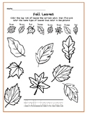Fall Lower Grades Activity Packet