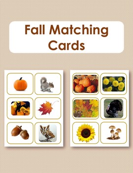 Fall Matching Cards by Inspired by Montessori | Teachers Pay Teachers